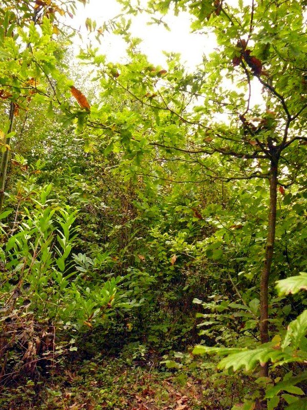 On sélectionne et on dégage